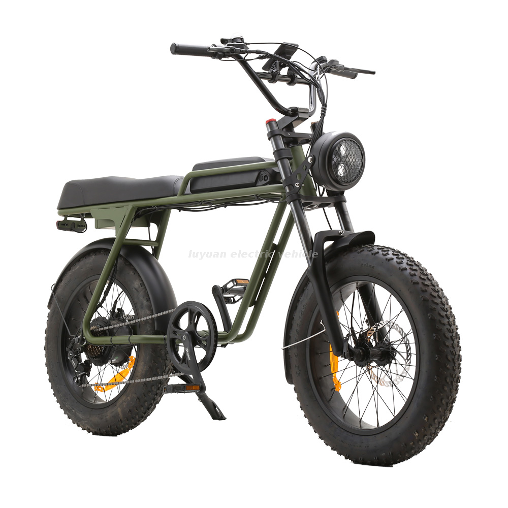 Electric Vintage Bike EH 03