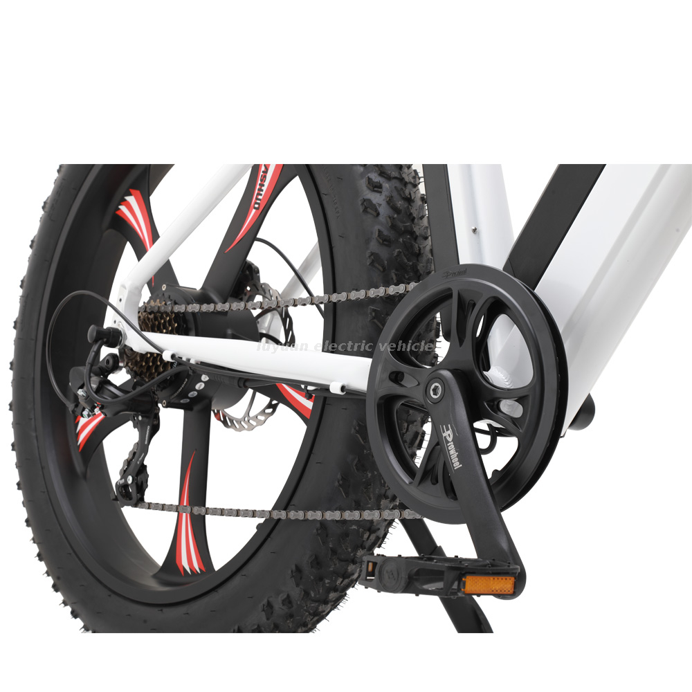 Ebicycle 32km/h New Promoted Electric Bicycles