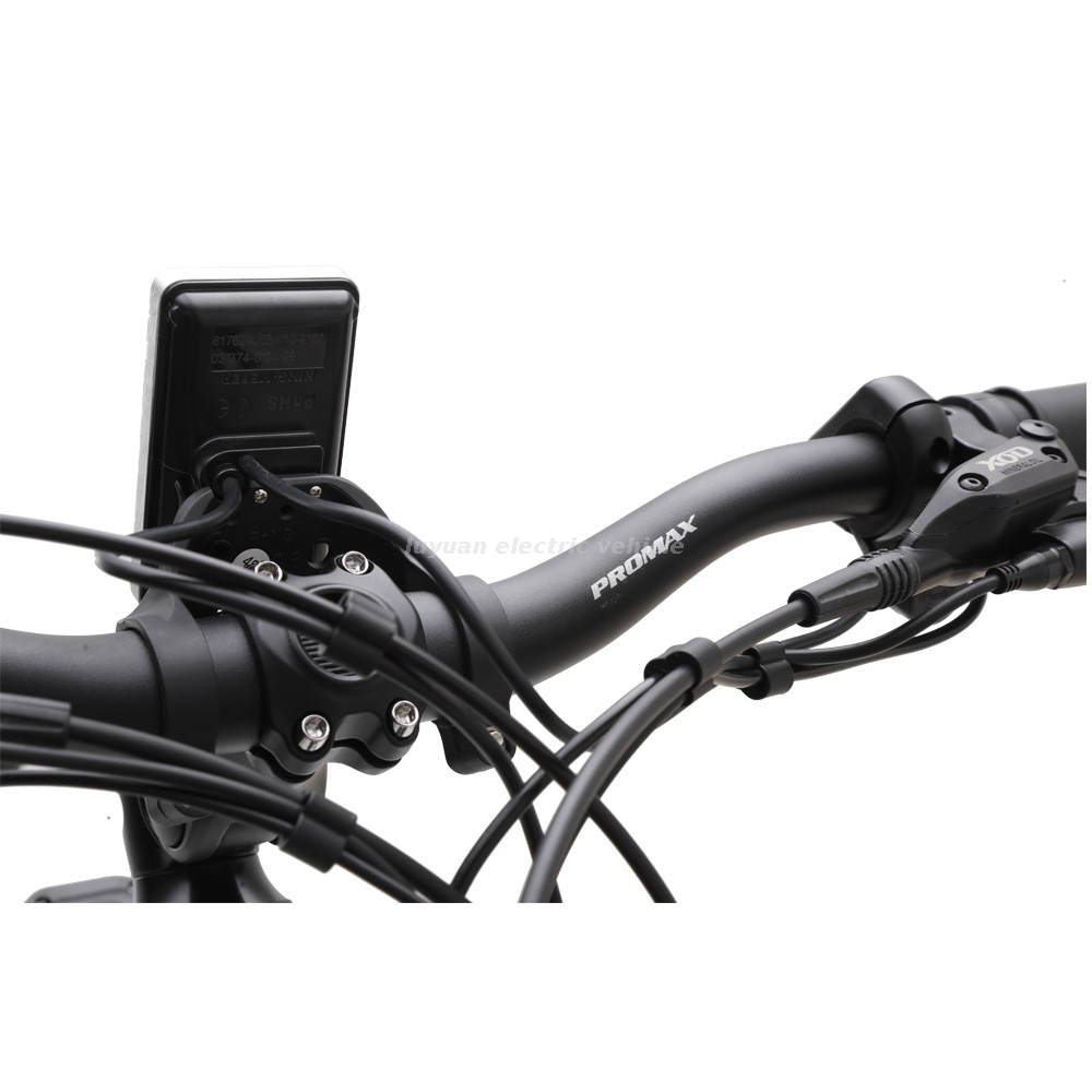 Electric Bicycle EM 02D