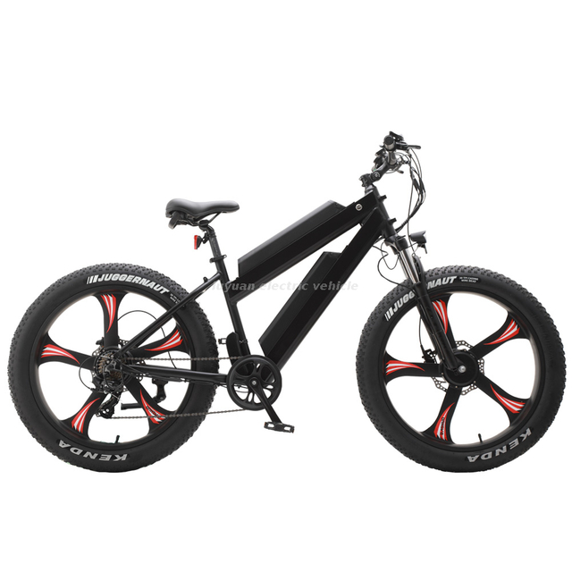 China long distance electric bike manufacturers, long distance electric ...