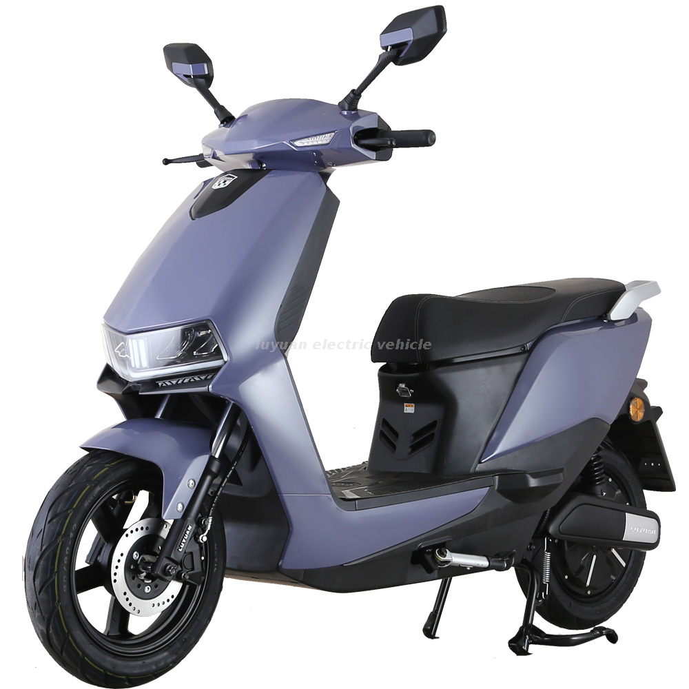 MKK-12 EEC Version Electric Motorcycles from China manufacturer - Luyuan e-vehicle