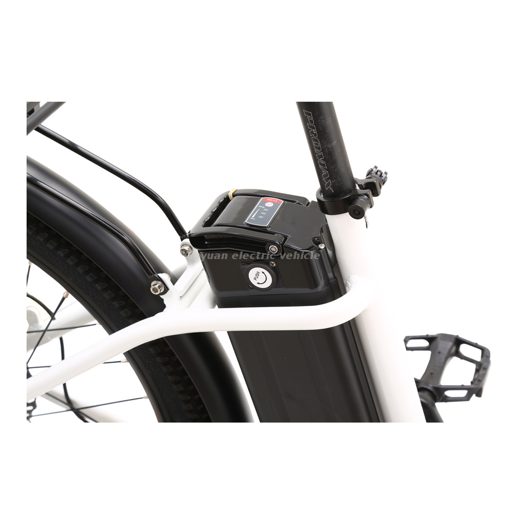 Electric Bicycle EC 01F Lite